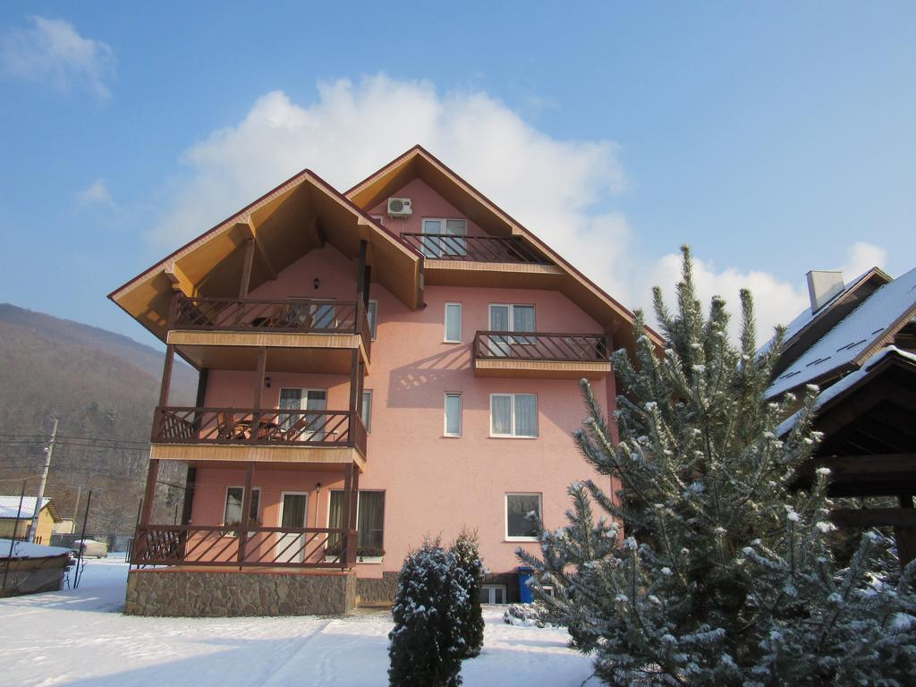 U Neli Hotel Solochyn Exterior photo